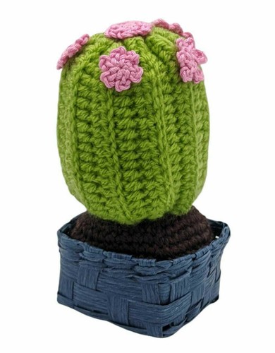 Pianta grassa cactus - , amigurumi