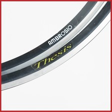 NOS AMBROSIO THESIS TUBULAR