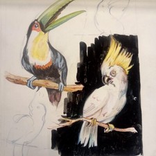 BOZZETTO ILLUSTRAZIONE