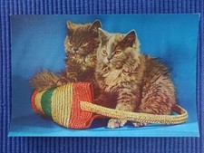 Vecchio Cartolina Ak 2 Gatti
