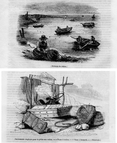 Stampa antica pesca del - pesca,