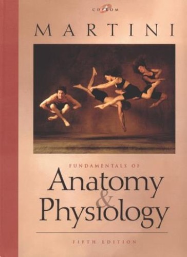 Fundamentals anatomy and - fundamentals,