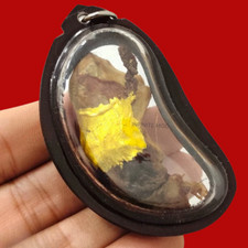 Gatto magico placenta potere