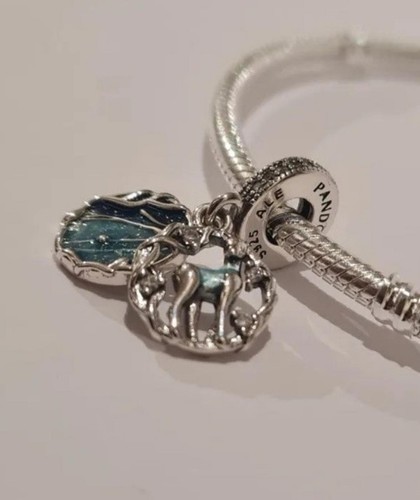 Dangle charm harry potter - harry,