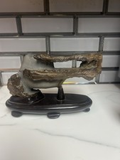 Pietra da vista Suiseki