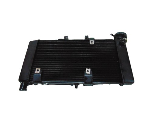 Radiatore acqua honda 700 - radiatore,
