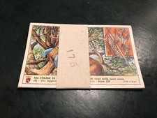 FIGURINE LAVAZZA N°175 - GENTI E USI DI TUTTI I TEMPI: GLI INDIANI DELLE PIANURE