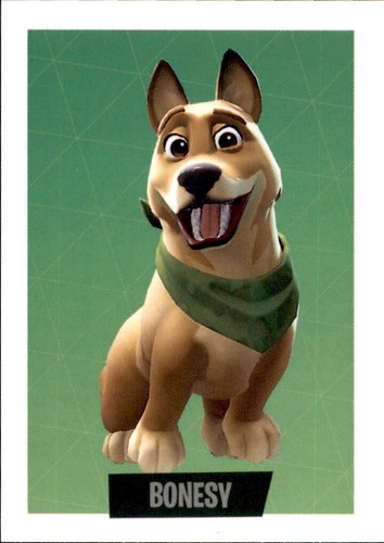 Panini fortnite 2019 pronti - -,