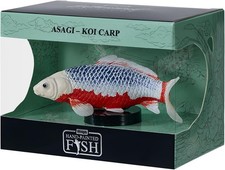 Asagi Koi Carp Appassionato