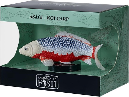 Asagi koi carp appassionato - carp,