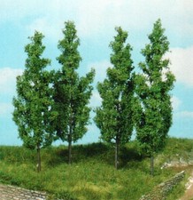 HEKI, 4 Peupliers 14 cm