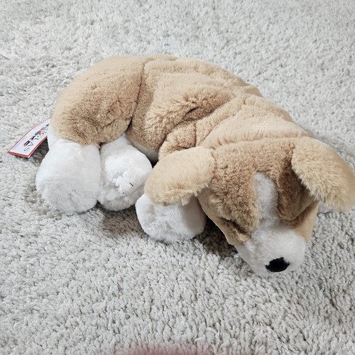 Douglas rudy corgi 1645 cuddle - douglas,