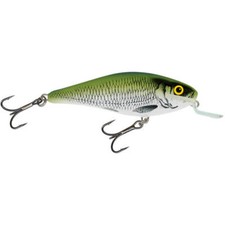 Salmo Executor Esche Artificiali Shallow Runner Oliva Bleak Esca Luccio Spigola