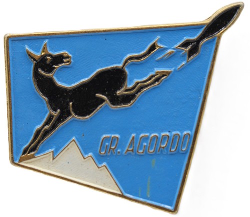Distintivo spilla gruppo - spilla,