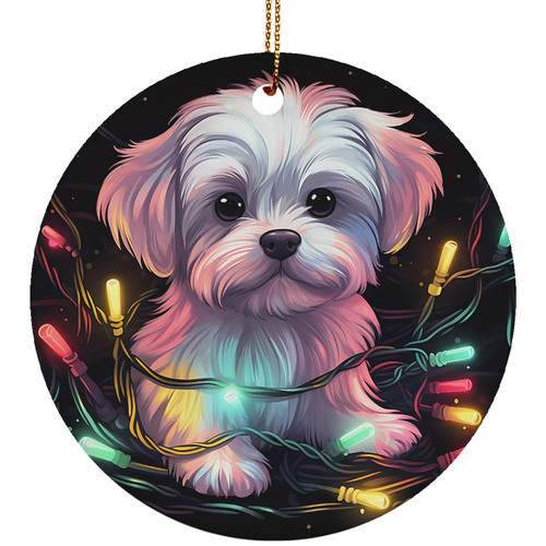 Carino cucciolo maltese cane - carino,