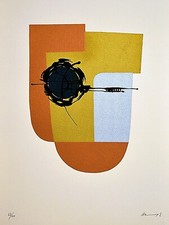 EDGARDO MANNUCCI SERIGRAFIA ORIGINALE FIRMATA NUMERATA SNL1