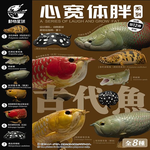 Animal planet proiettile - animal, 12°