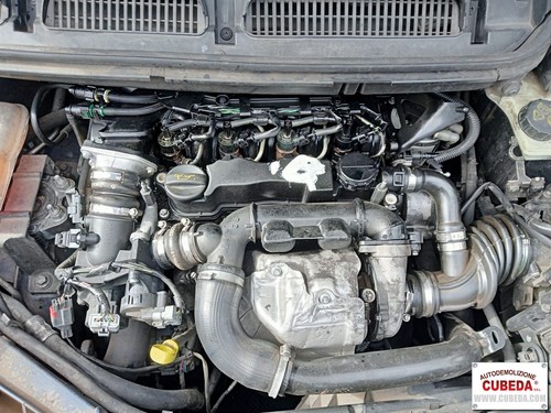 Motore ford max 6 tdci - motore,