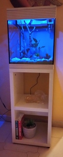 Acquario askoll pure - askoll,