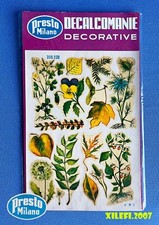 fiori foglie tema autunno