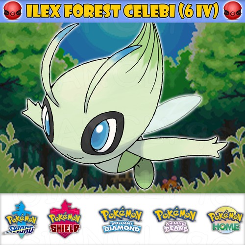 Event ilex forest - ilex,