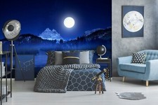3D Night Big Moon ZH45