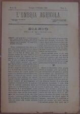 L'UMBRIA AGRICOLA 15 GENNAIO 1885 VITE AMERICANA FILOSSERA UMBRIA AGRICULTURE
