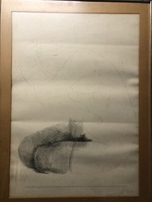 Emilio Greco - Stampa In Off Set - Disegno Per L’Ovidio