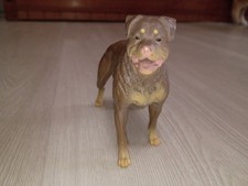 Staffordshire bull terrier