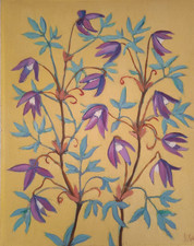 Quadro ranunculaceae Fiori