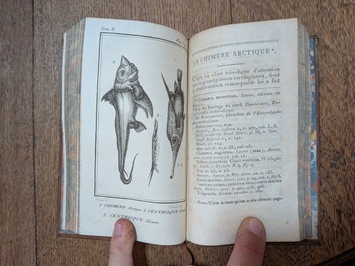 Libro antico spartatore - antico,