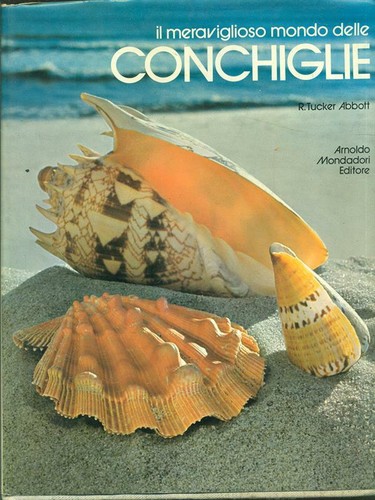 Meraviglioso mondo delle - meraviglioso,