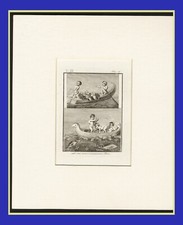 PIGMEI IN BARCA  ,da Ercolano, incisione di  Piroli, 1806,+  passepartout