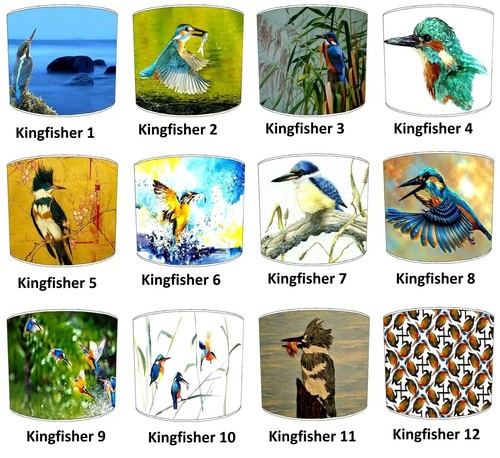 Kingfisher birds paralume - birds,