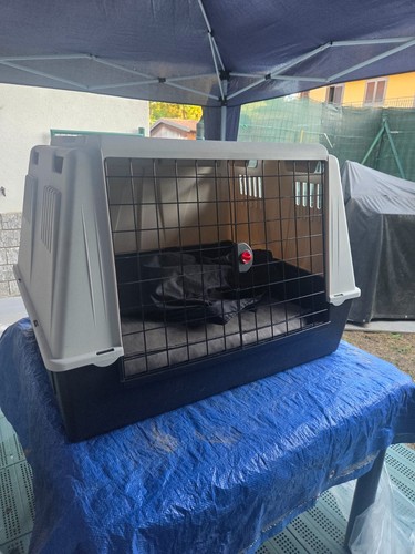 Kennel per cani con divisorio - per,