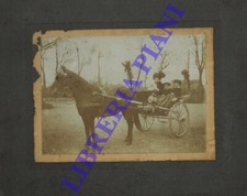 Calesse con cavallo e signora