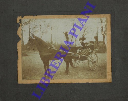 Calesse con cavallo signora - calesse, e