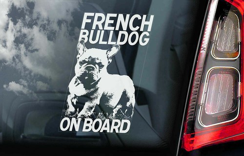 French bulldog car sticker - french,