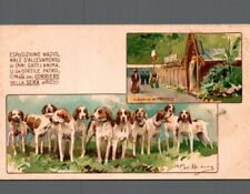 Milano Esposizione Nazionale allevamento Cani Gatti non spedita f. Piccolo