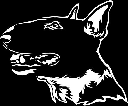 Adesivo bull terrier - bull,
