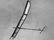 Aquila Glider 80" apertura