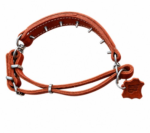 Collare per cani - , strangolatore