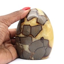 Pierre de Septaria 530gr 95mm Madagascar