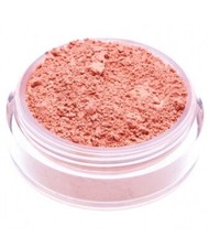 Neve Cosmetics Blush Delhi