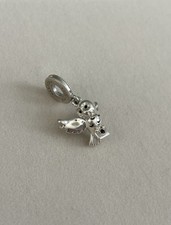 PANDORA  Harry Potter Hedwig