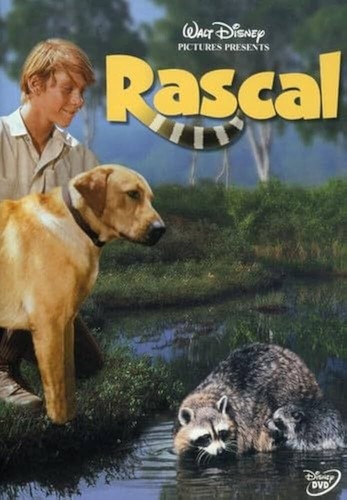Rascal see - rascal,