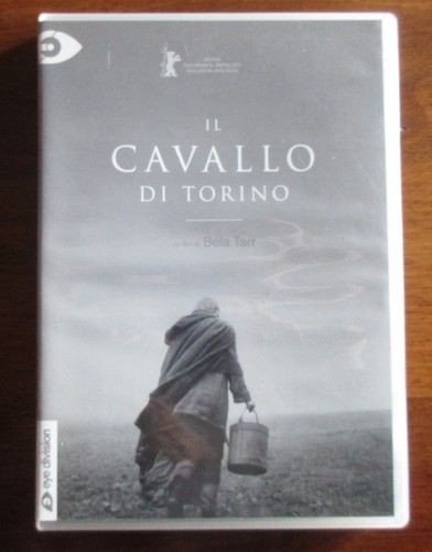 Cavallo torino bela - torino, tarr