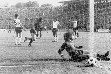 Torino calcio - 12 foto 10x15