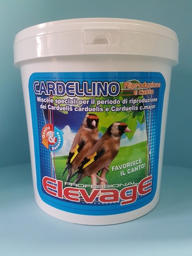 Elevage cardellino - elevage,