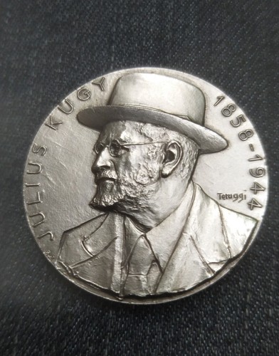 Medaglia argento silver - medaglia,